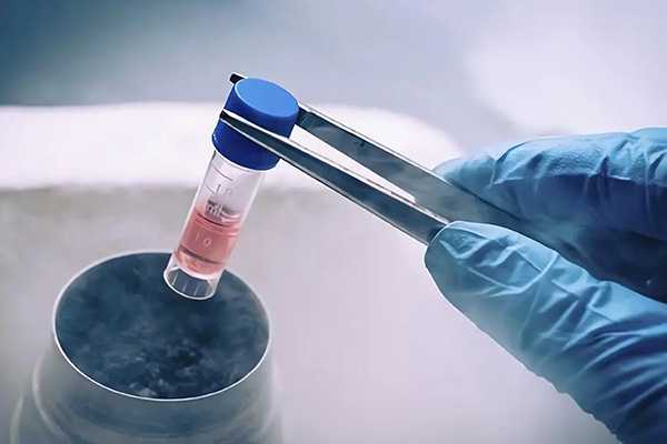 微刺激方案移植冻胚的原因是什么 成功率高吗